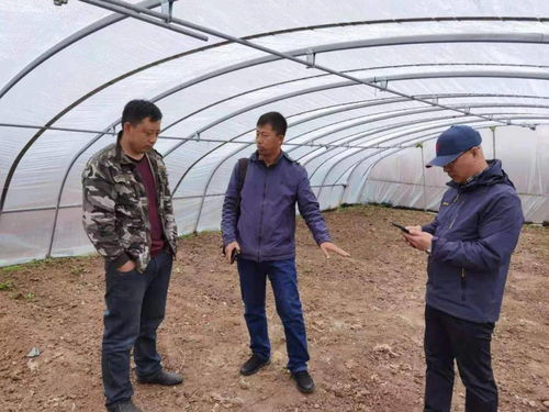 百期網課開新局，科技助農譜新篇——市農業科學院“學史力行慶華誕”網絡課堂圓滿結課