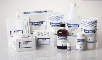 N,N,N,N-四甲基乙二胺_上海義森生物科技