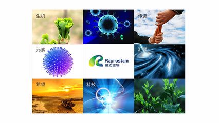 瑞太生物科技 推動生物技術創新，引領健康未來